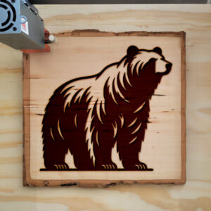 216668_wood-laser-1.jpg