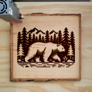 216669_wood-laser-1.jpg