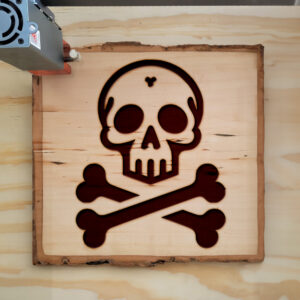 216702_wood-laser-1.jpg