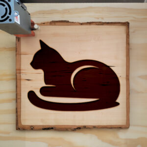 216707_wood-laser-1.jpg