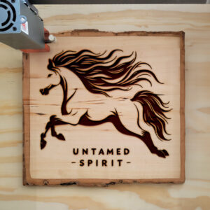 216712_wood-laser-1.jpg