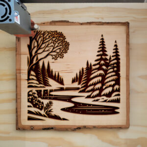 216733_wood-laser-1.jpg
