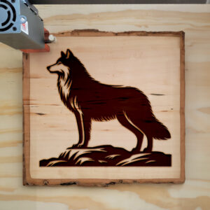 216745_wood-laser-1.jpg
