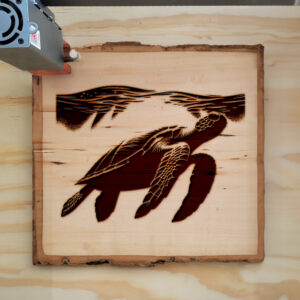216755_wood-laser-1.jpg