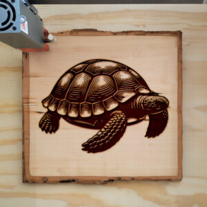216759_wood-laser-1.jpg