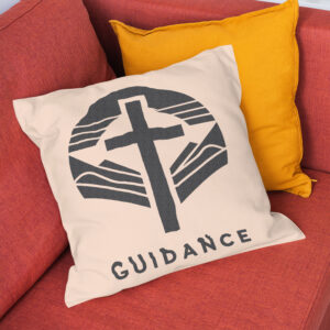 216765_pillow-1.jpg