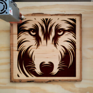 216793_wood-laser-1.jpg