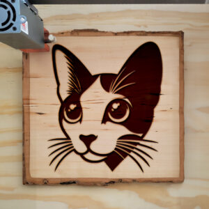 216964_wood-laser-1.jpg