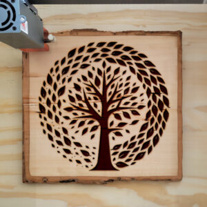 216983_wood-laser-1.jpg