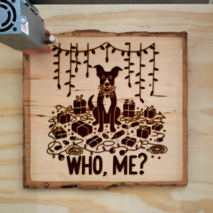216999_wood-laser-1.jpg