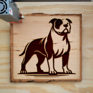 217021_wood-laser-1.jpg
