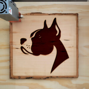 217023_wood-laser-1.jpg