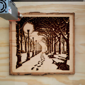 217099_wood-laser-1.jpg