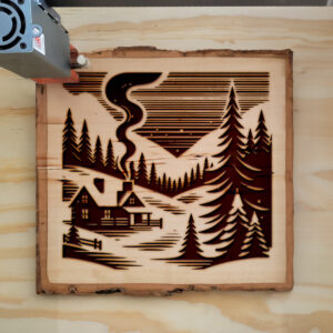 217146_wood-laser-1.jpg