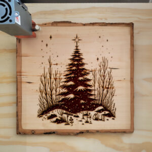 217152_wood-laser-1.jpg