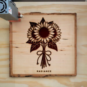 217184_wood-laser-1.jpg