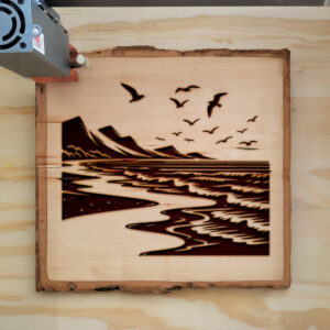 217193_wood-laser-1.jpg