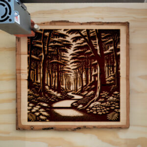 217207_wood-laser-1.jpg