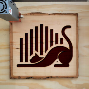 217305_wood-laser-1.jpg