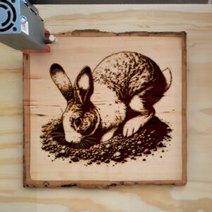 217324_wood-laser-1.jpg