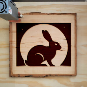 217328_wood-laser-1.jpg