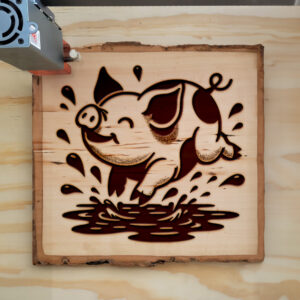 217336_wood-laser-1.jpg
