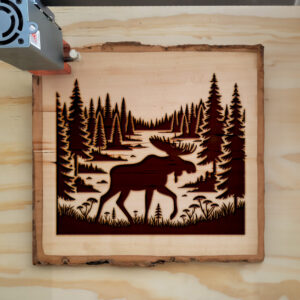 217357_wood-laser-1.jpg