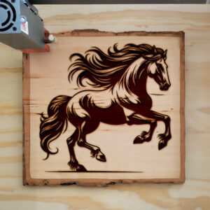 217363_wood-laser-1.jpg