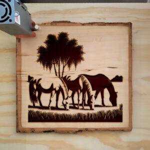 217367_wood-laser-1.jpg