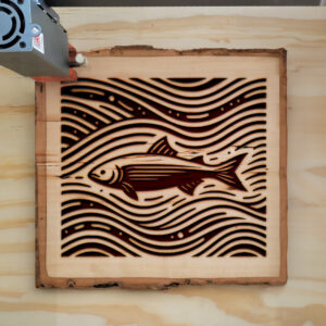 217379_wood-laser-1.jpg