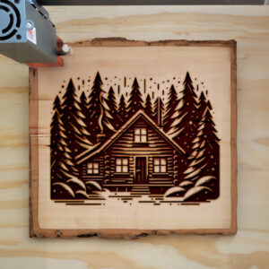 217400_wood-laser-1.jpg