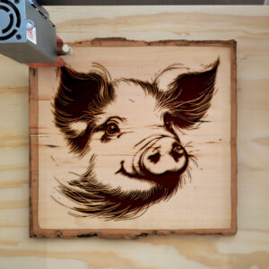 217489_wood-laser-1.jpg