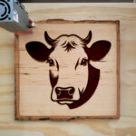 217496_wood-laser-1.jpg
