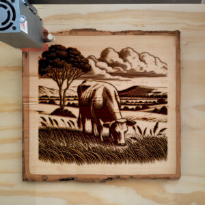 217500_wood-laser-1.jpg