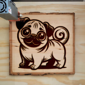 217562_wood-laser-1.jpg