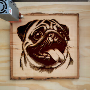 217568_wood-laser-1.jpg