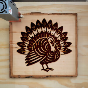 219218_wood-laser-1.jpg
