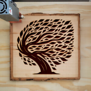 219226_wood-laser-1.jpg