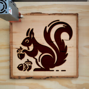 219284_wood-laser-1.jpg