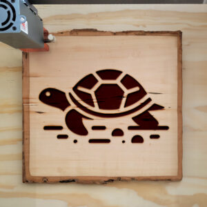 219395_wood-laser-1.jpg
