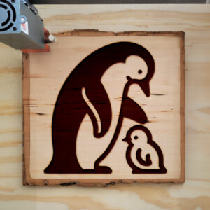 219434_wood-laser-1.jpg