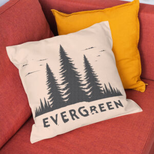 219466_pillow-1.jpg