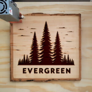 219466_wood-laser-1.jpg