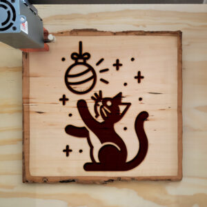 219565_wood-laser-1.jpg