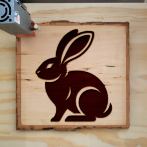 219905_wood-laser-1.jpg