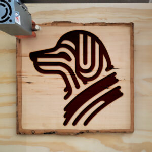 219932_wood-laser-1.jpg