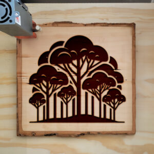 220009_wood-laser-1.jpg
