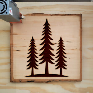 220019_wood-laser-1.jpg