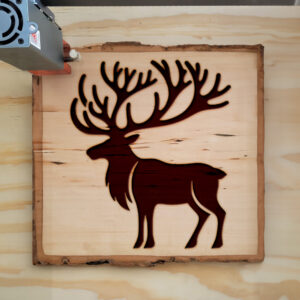 220171_wood-laser-1.jpg