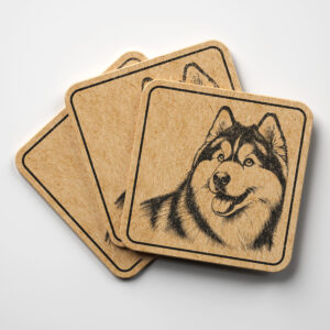 221495_coaster-1.jpg